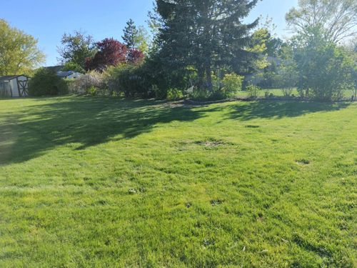 A Lush Green Field With Trees And Bushes In The Background - Salt Lake City, UT — Green Lawns Matter, LLC