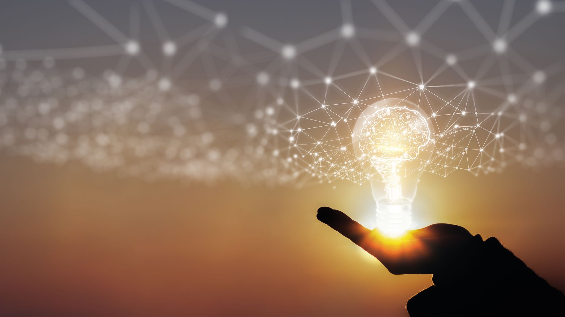 Silhouette hand holding a glowing lightbulb, with network nodes above, set against a sunset.