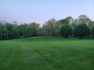 A large lush green field with trees in the background.