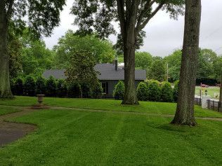 A lush green lawn with trees and a house in the background