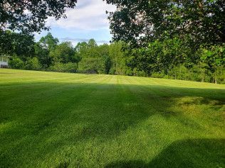 A large lush green field with trees in the background.