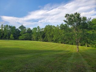 A lush green field with trees and a blue sky in the background.