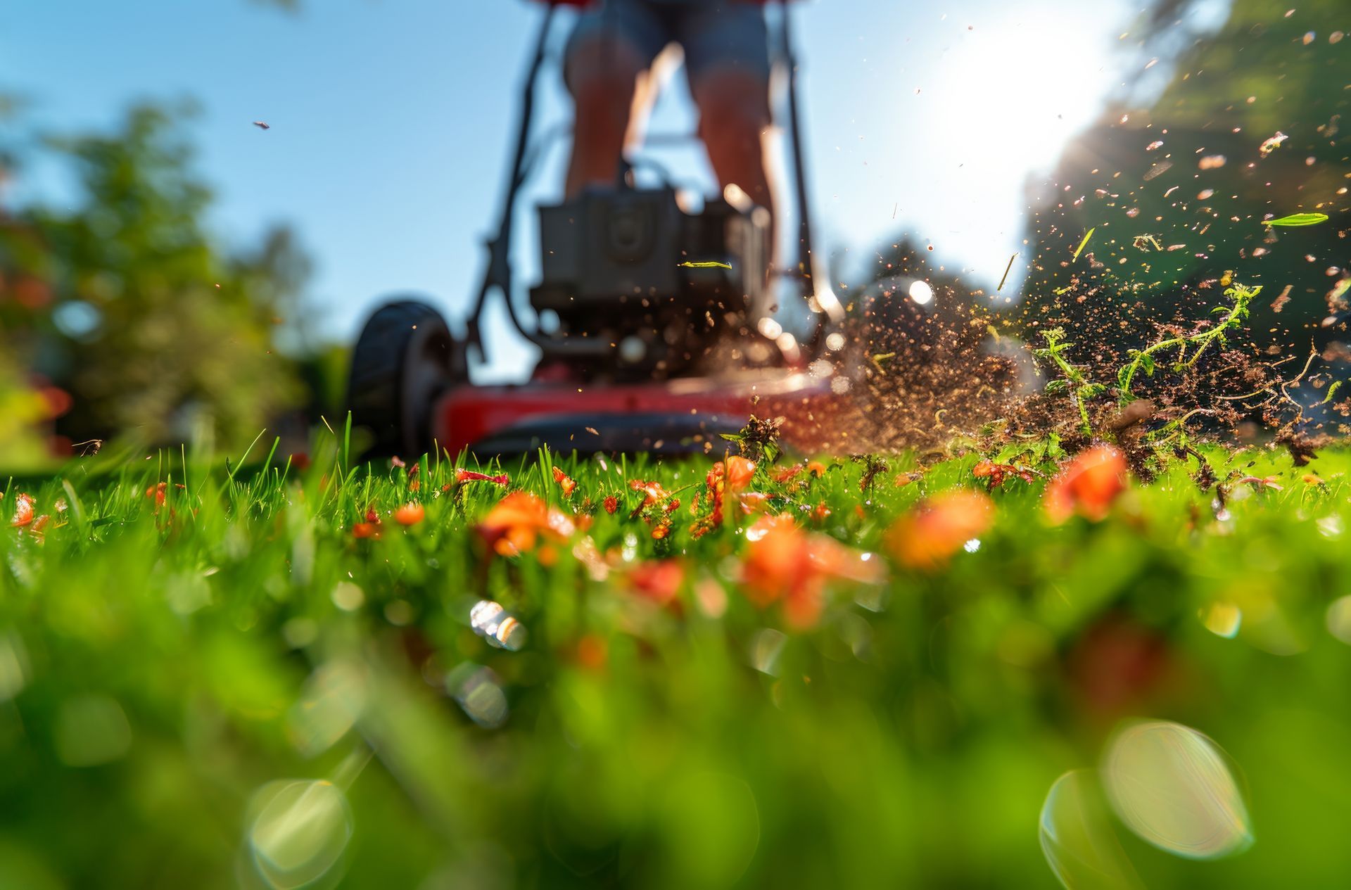 A person is mowing a lush green lawn with a lawn mower.