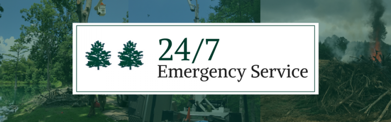 24/7 emergency services