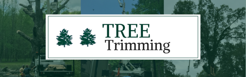 tree trimming