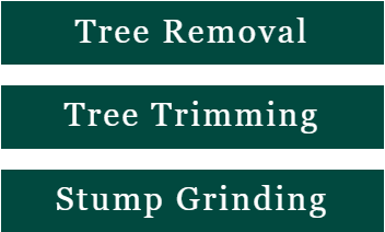 tree services