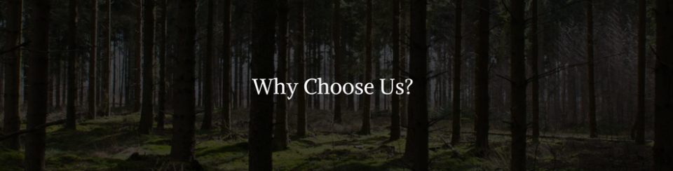 why choose us?