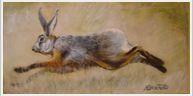 A painting of a rabbit running on a beige background.