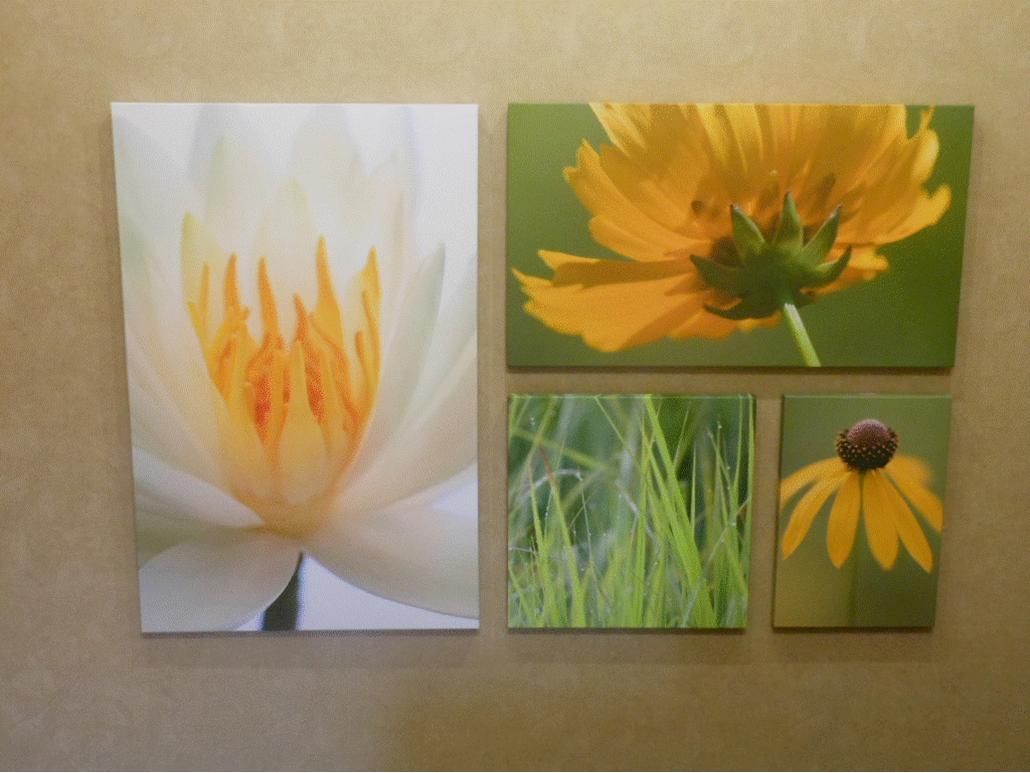 Four pictures of flowers are hanging on a wall
