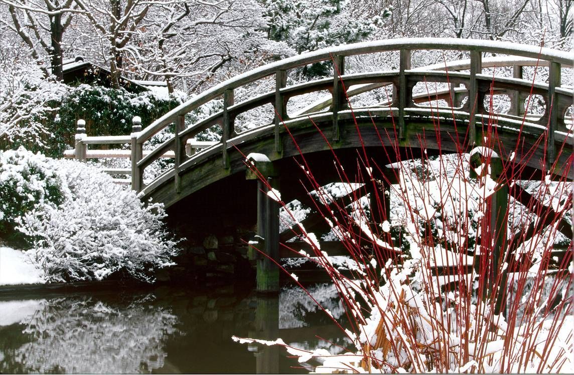 A bridge over a body of water covered in snow.