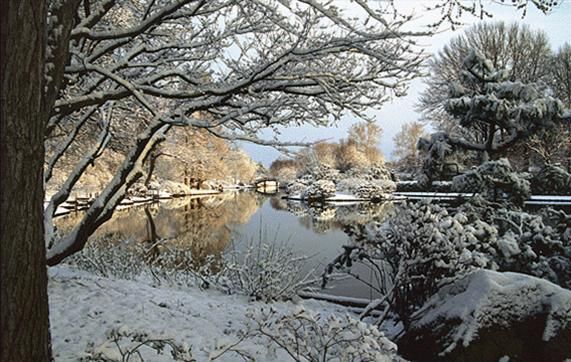 A snowy park with a river and trees covered in snow