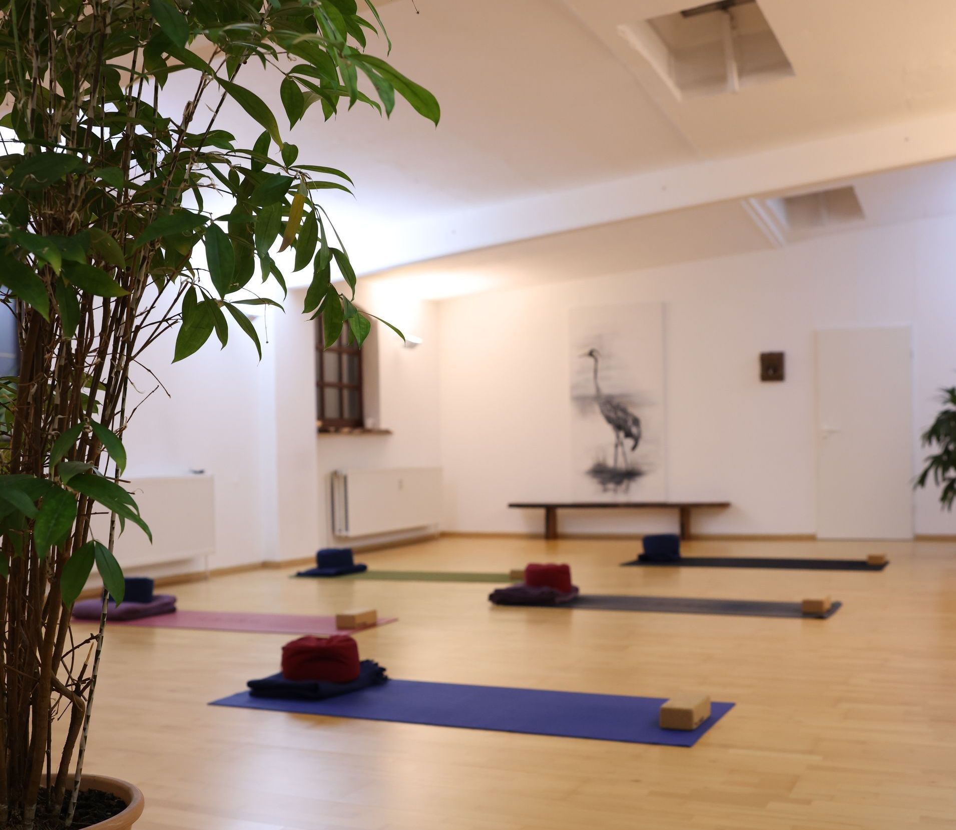 Yoga Anfänger Dortmund