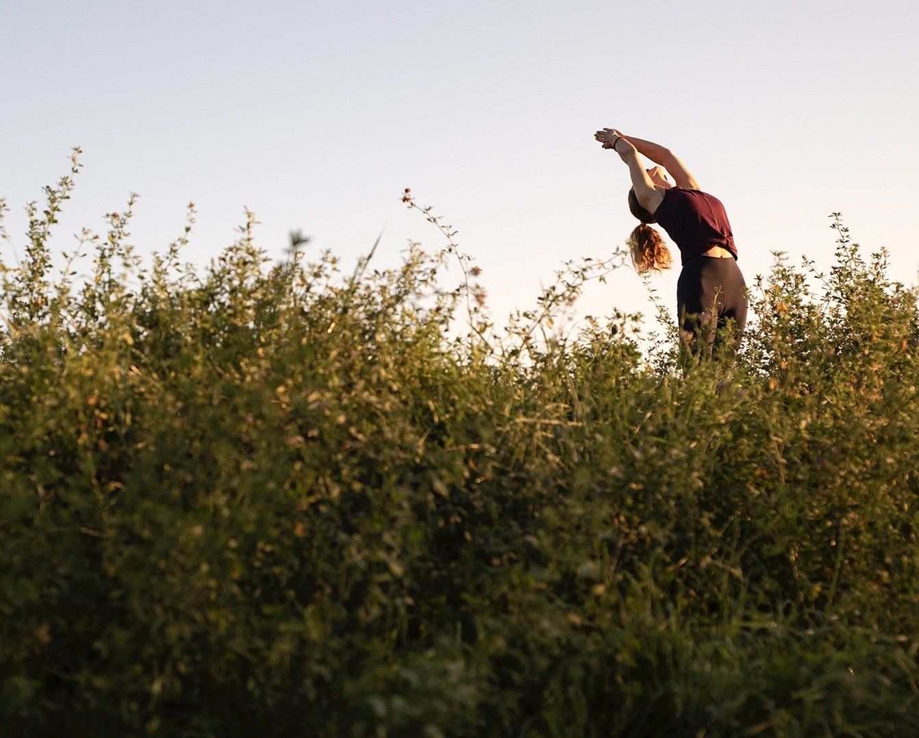 Morgenyoga Flow and Yoga Dortmund Goldenthreadyoga