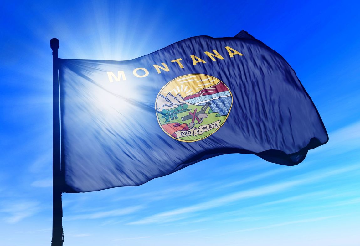 montana flag