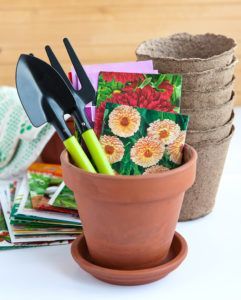 Flower pots and seed in bags