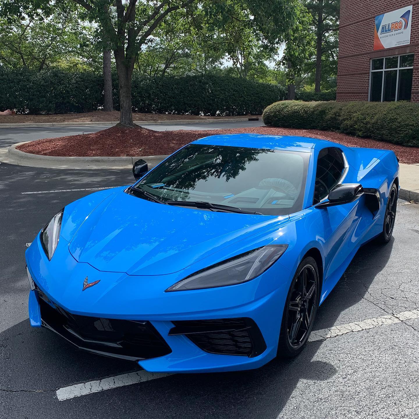 paint protection film