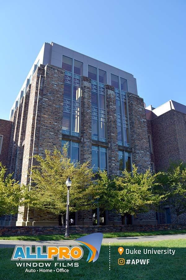 decorative window film Raleigh NC