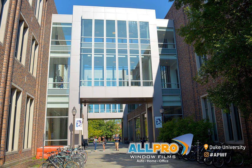 decorative window film Durham NC