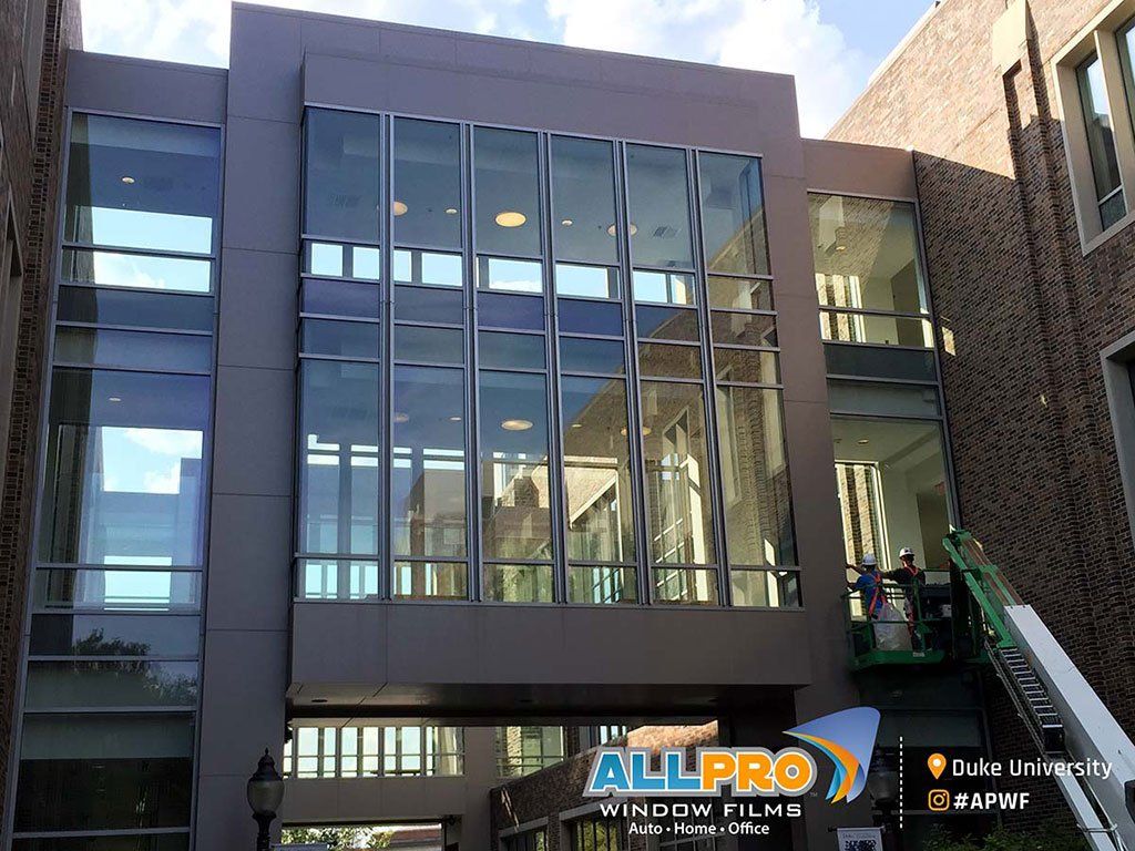 decorative window film Chapel Hill