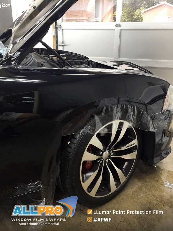 paint protection film near me