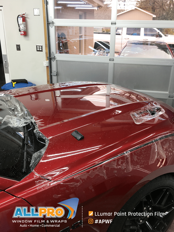 car paint protection film near me