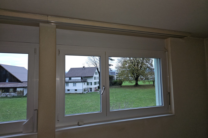 Fenster mit Blick auf eine Wiese und ein Haus. Die Fenster haben weiße Rahmen.