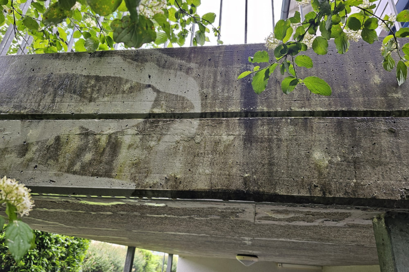 Betonkonstruktion mit verblasster Zahl „7“ und überhängendem grünem Laub.