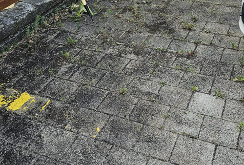 Graue Pflastersteine ​​mit Unkrautbewuchs und gelben Markierungen auf der linken Seite.