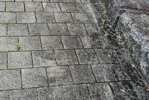 Graue Pflasterklinker neben einer dunklen, unebenen Steinkante; zwischen den Ziegeln wächst kleines Unkraut.