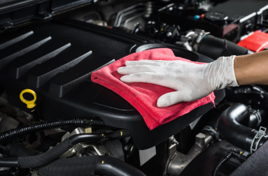 Cleaning an engine in Chilliwack, BC