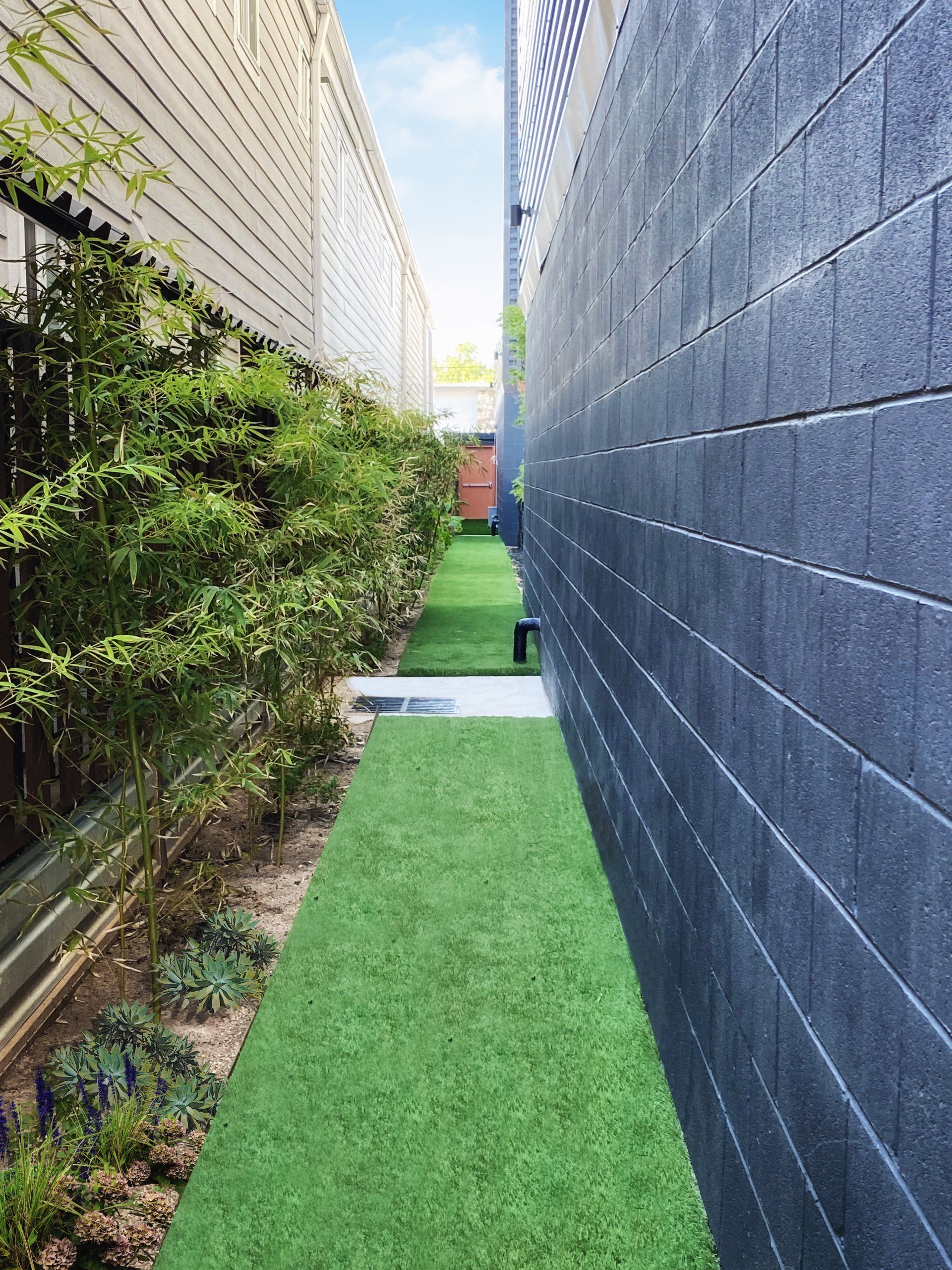 Landscaped walkway flanked by bamboo leading to the entrance of our apartments for rent in Houston.