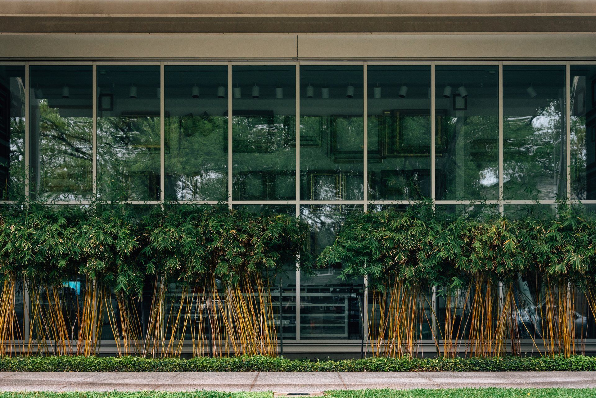 Facade of GIA Montrose's modern Houston apartment for rent with large windows and decorative bamboo plants.