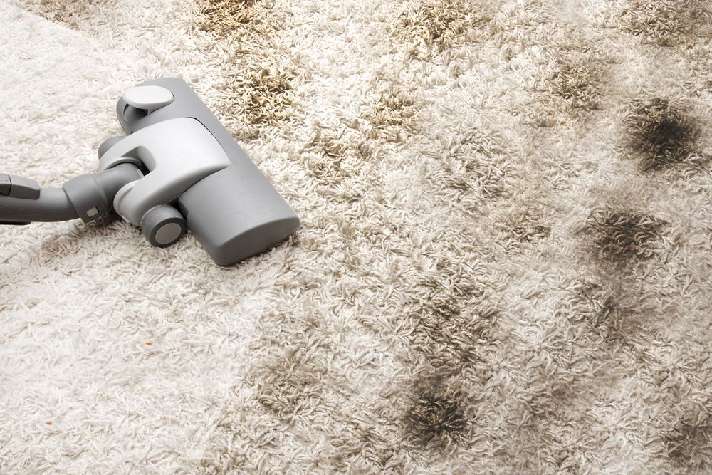 Gray Vacuum Cleaner on A Light Shag Carpet with A Dark Stain Nearby — Broadbeach Carpet Cleaning In Bundall, QLD