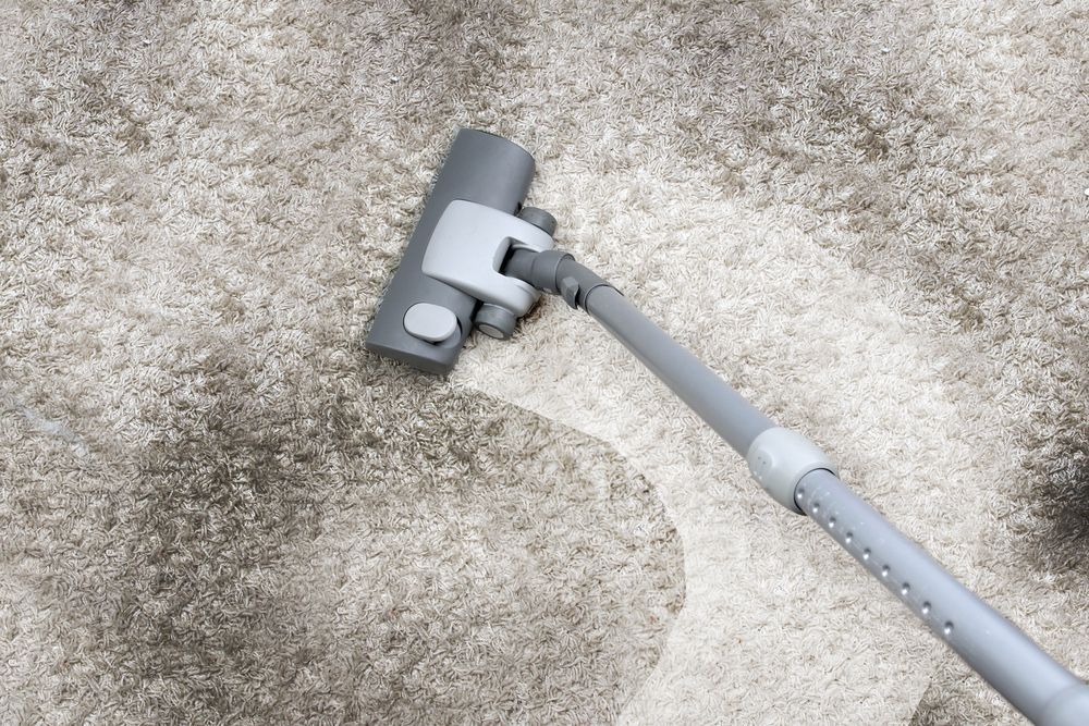 Vacuum Cleaner Head on Beige Carpet Cleaning a Small Dark Stain — Broadbeach Carpet Cleaning In Southport, QLD