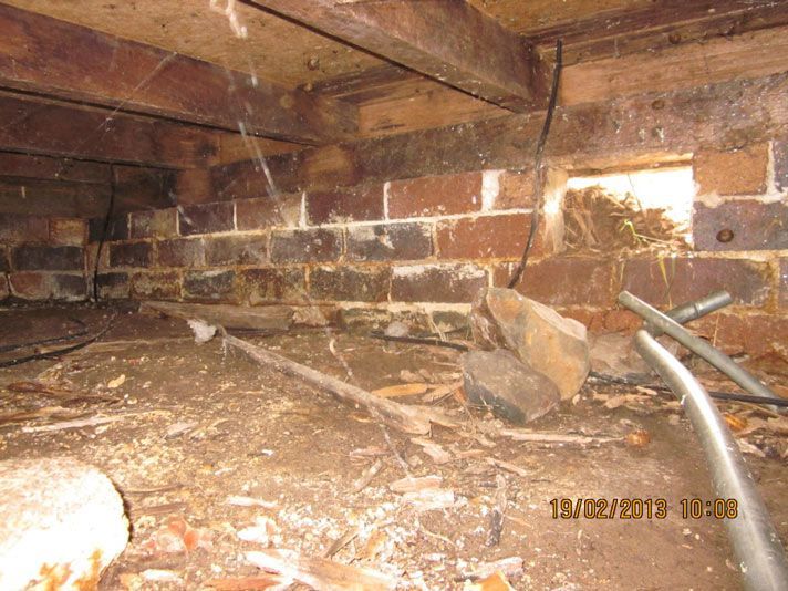 Damp Issues Under House Building — Edwards & Froud Building Services Pty Ltd in West Tamworth, NSW