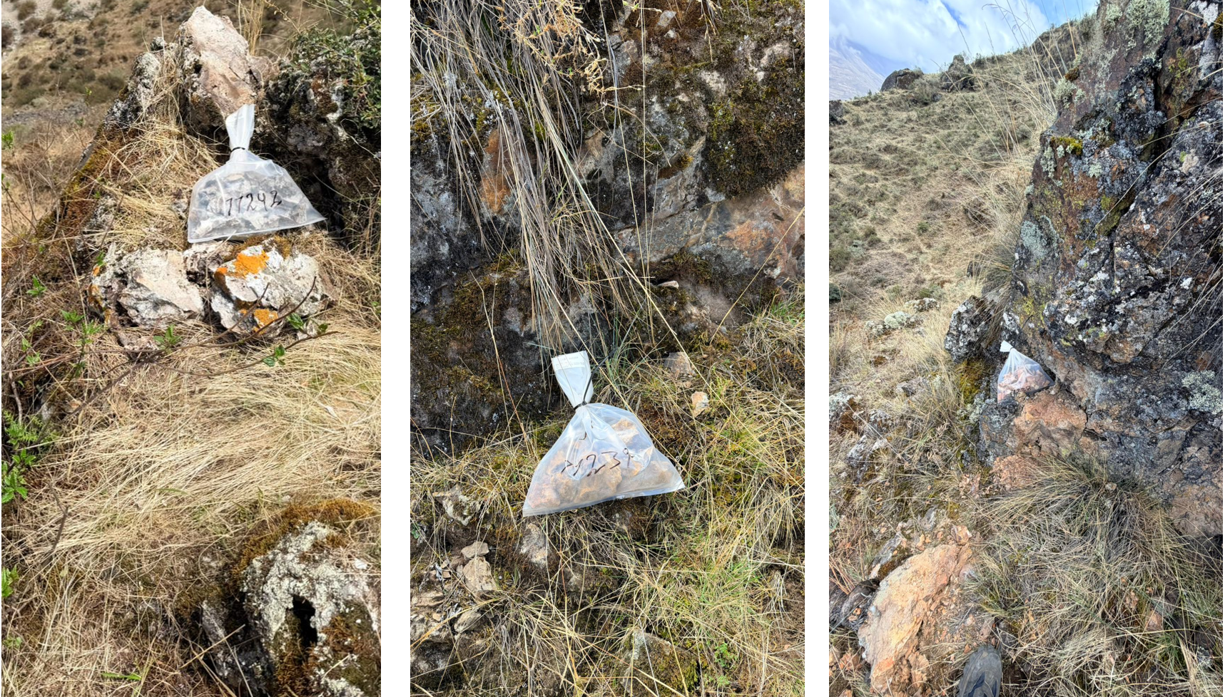 Three views: rock formations with clear plastic bags containing a light brown substance resting on or near them, outdoor setting.