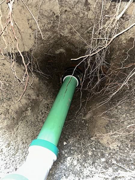 Green pipe inserted into a dirt hole with roots visible around it.
