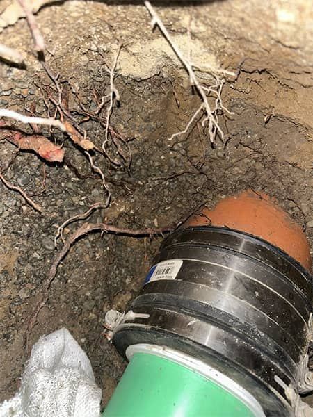 Close-up of a broken underground pipe with exposed soil and roots around it.