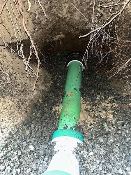 Green pipe leaking into a dirt hole beneath exposed roots and gravel area