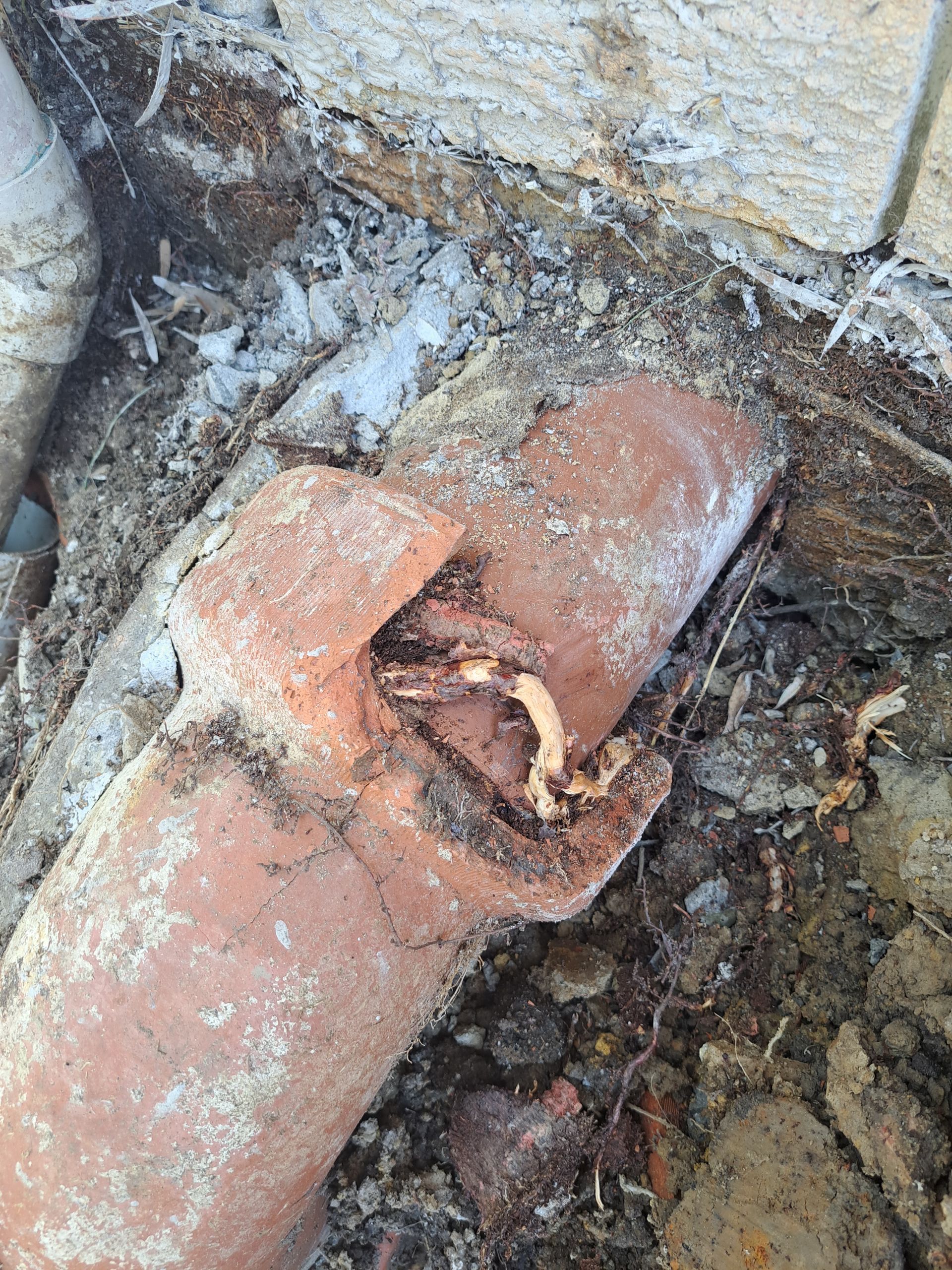 Sewer repair in residence — All About Quality Plumbing Services In Lake Macquarie, NSW