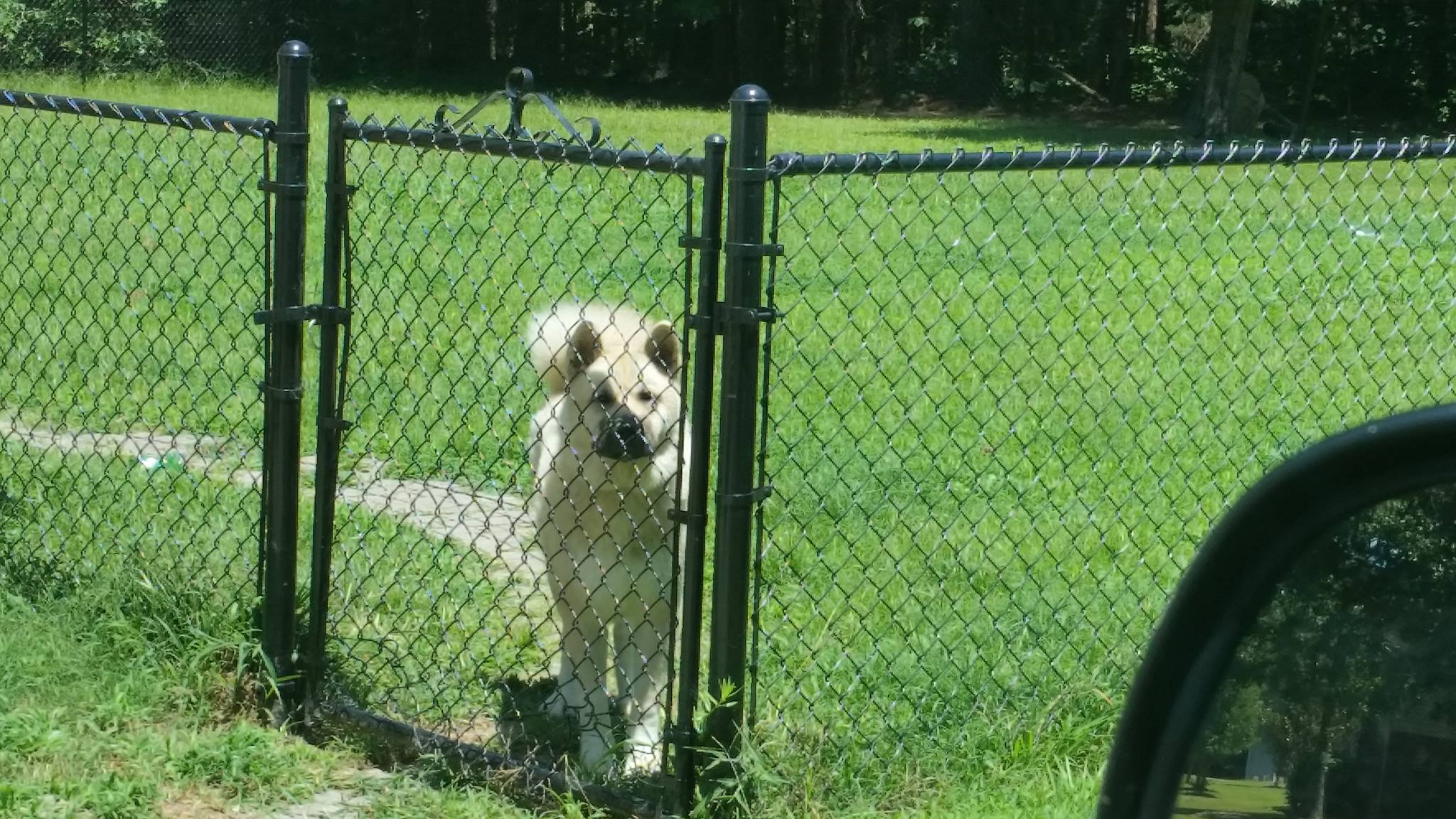 HOGAN'S FENCING