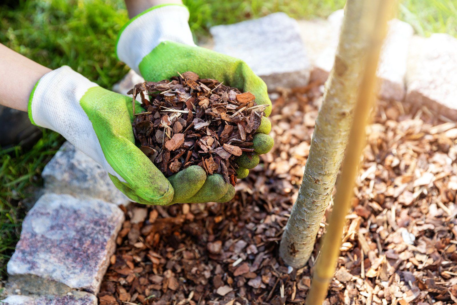 Types Of Mulches For Your Garden What Works Best For You