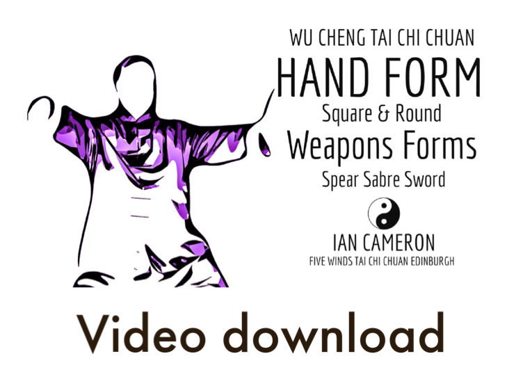 Wudang Tai Chi Chuan Forms DVD available on Payhip