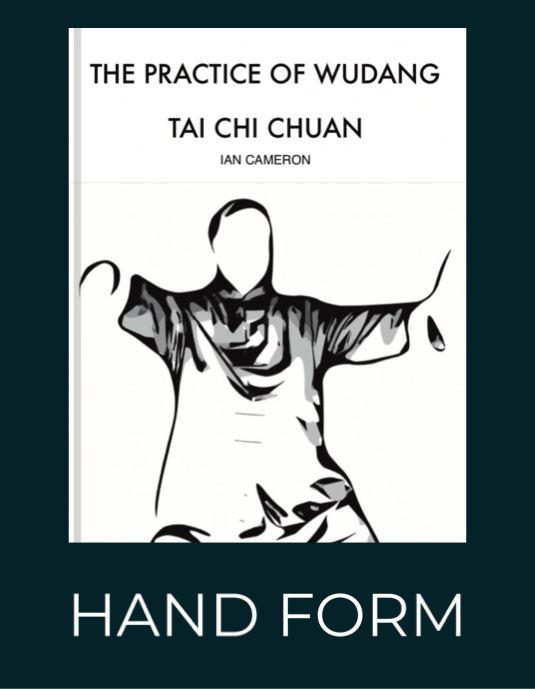 The practice of wudang  tai chi chuan by Ian Cameron Five Winds Tai Chi Chuan is a hand form book.