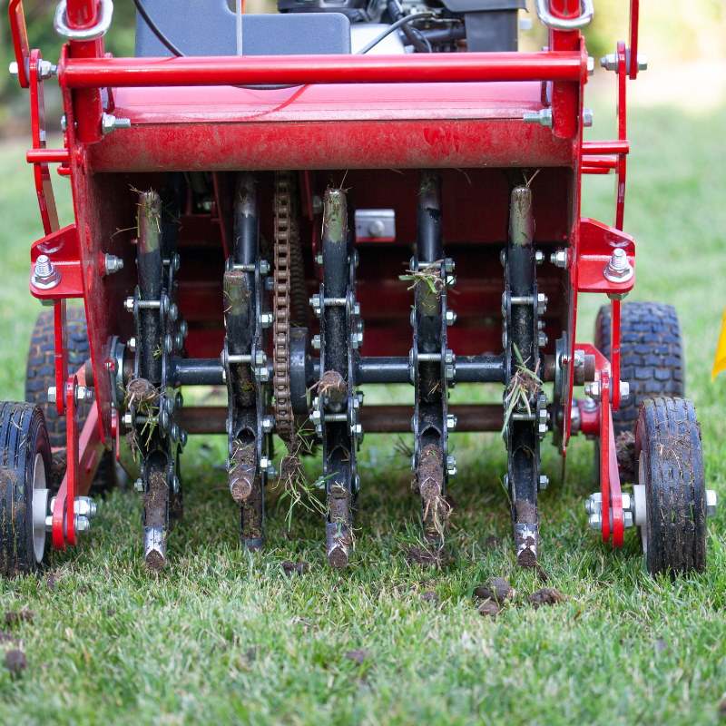a red lawn aerator is working on a lush green lawn
