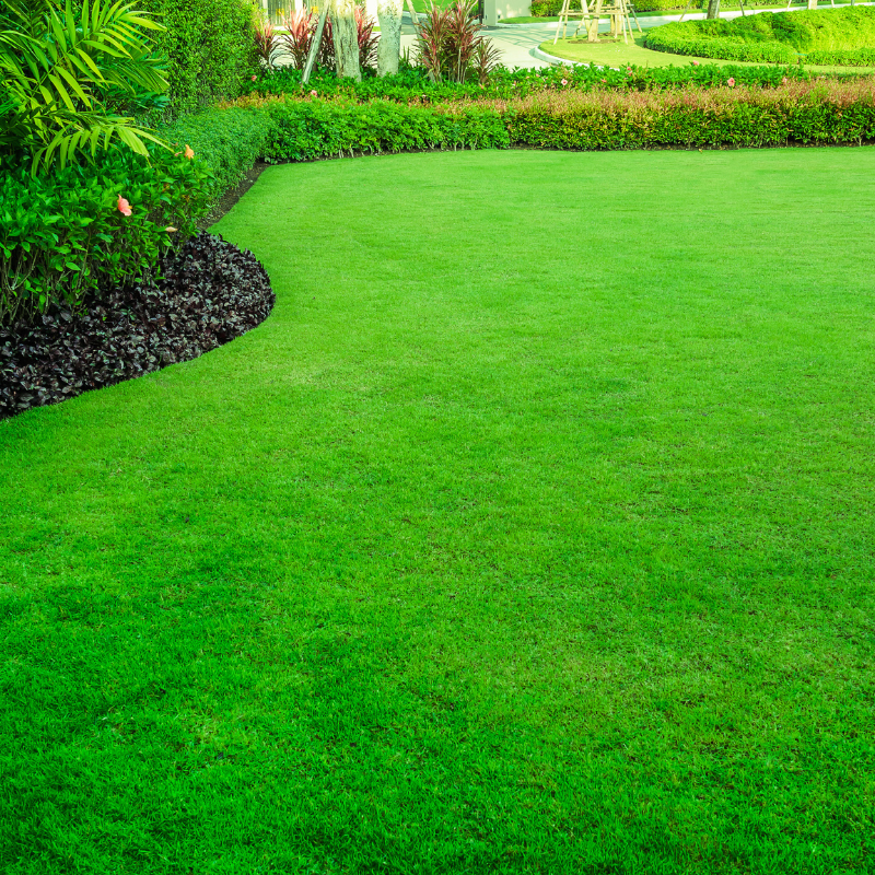 a lush green lawn in a garden with bushes and trees .