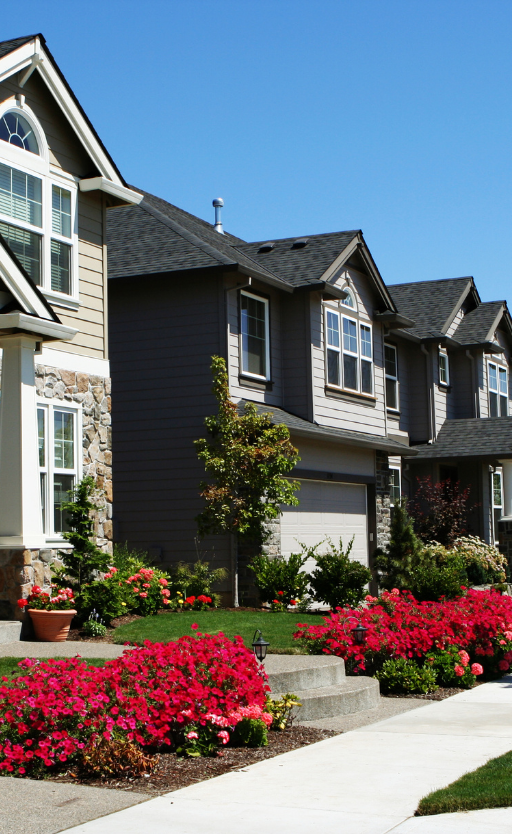 a row of houses with red flowers in front of them