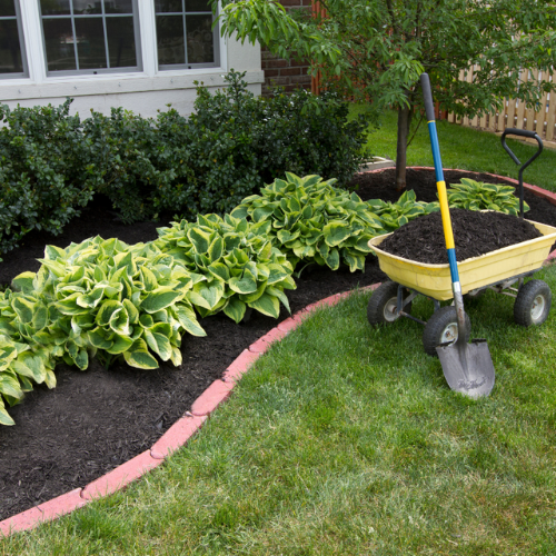 a yellow wheelbarrow filled with dirt and a shovel