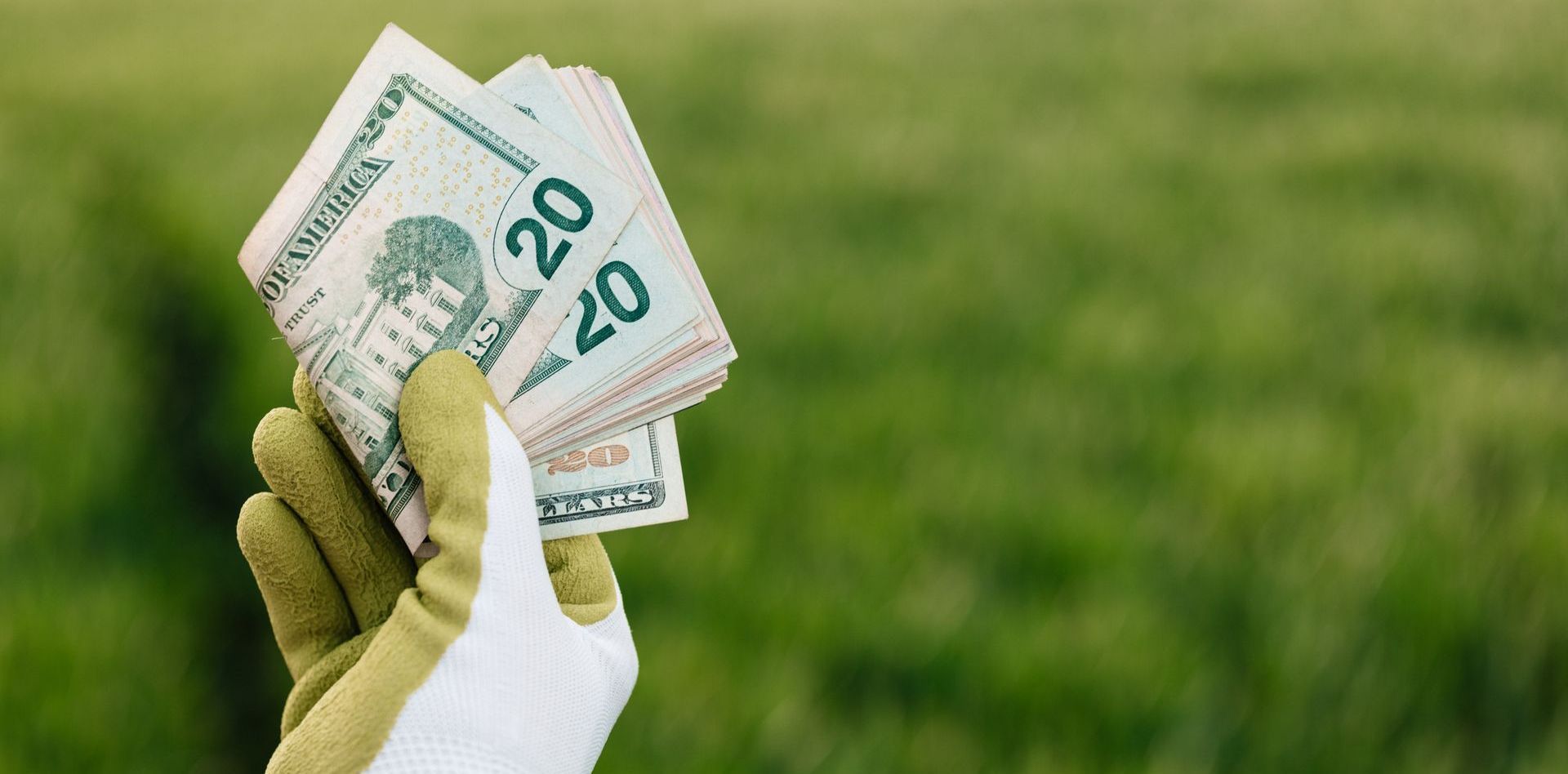 Green money cash in glove hand