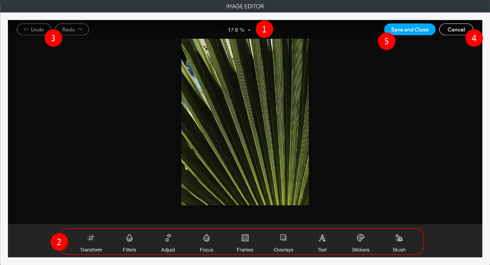 Photo editing software interface; central image of a green palm leaf with editing tools around it.